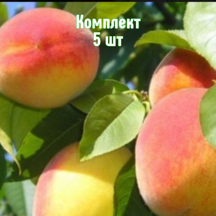 Комплект 5шт / Персик Советский Комплект 5шт / Персик Советский
